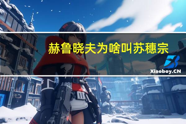 赫鲁晓夫为啥叫苏穗宗