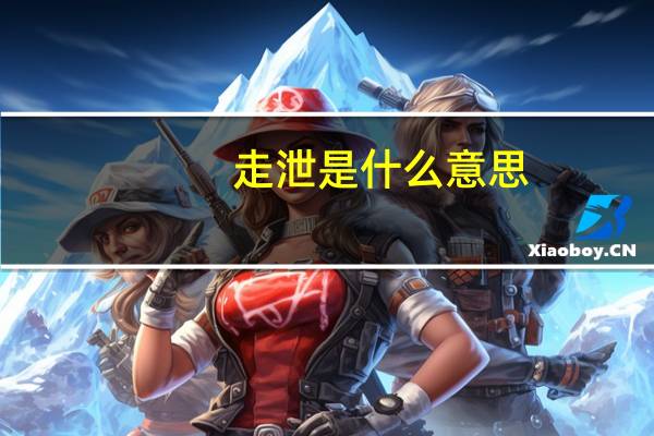 走泄是什么意思