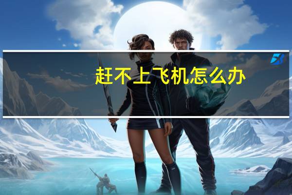 赶不上飞机怎么办