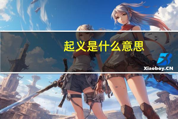 起义是什么意思