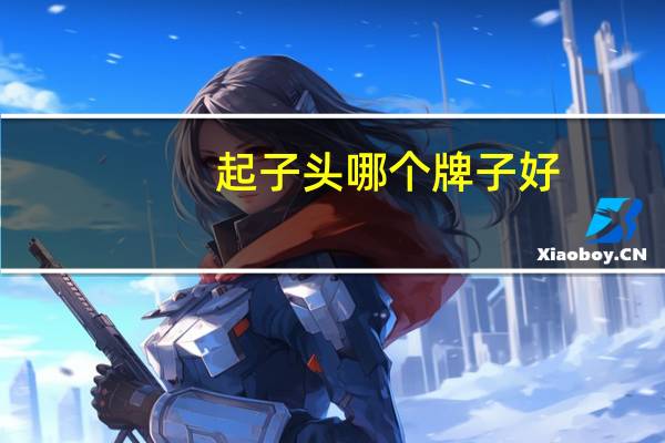 起子头哪个牌子好