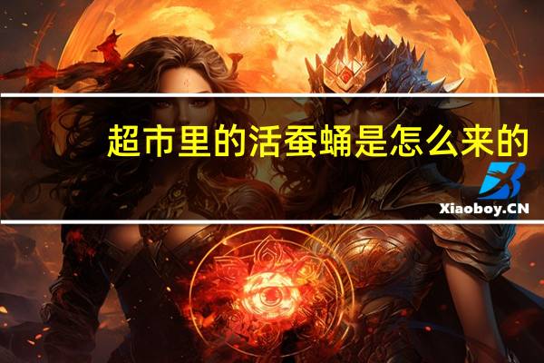 超市里的活蚕蛹是怎么来的