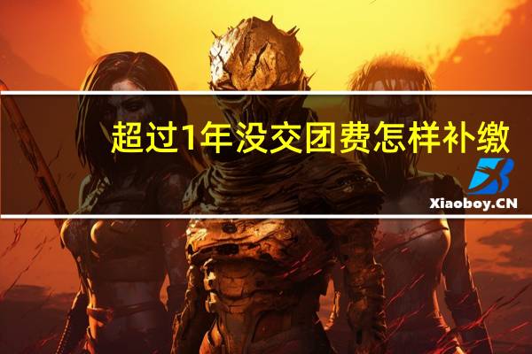 超过1年没交团费怎样补缴