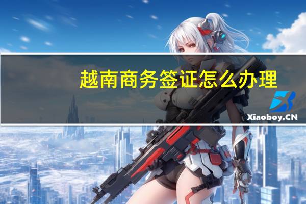 越南商务签证怎么办理