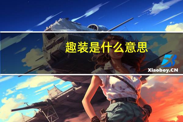 趣装是什么意思
