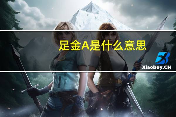 足金A是什么意思