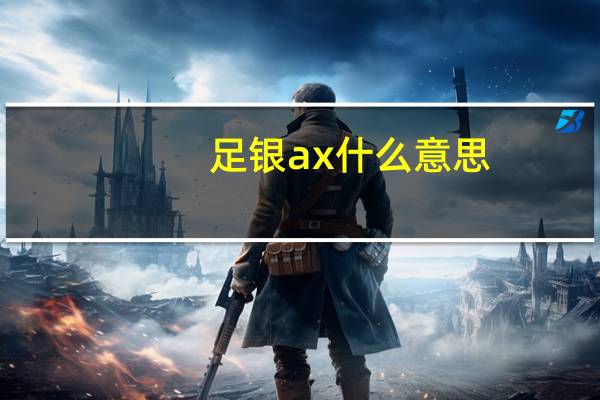 足银ax什么意思