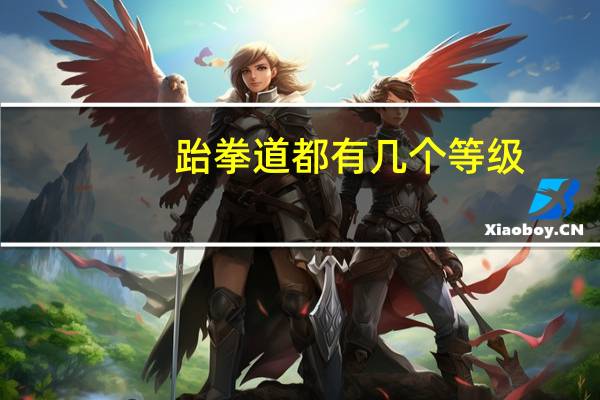 跆拳道都有几个等级