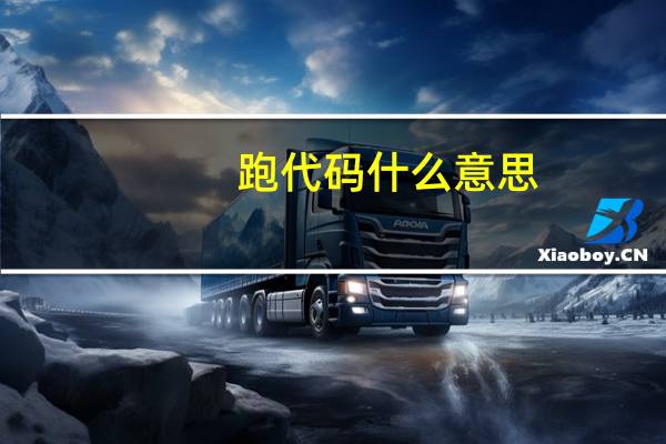 跑代码什么意思