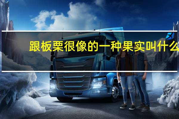 跟板栗很像的一种果实叫什么