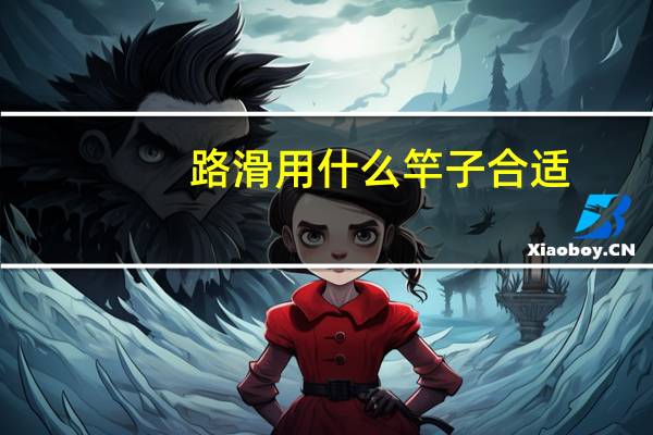 路滑用什么竿子合适