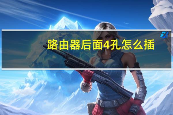 路由器后面4孔怎么插