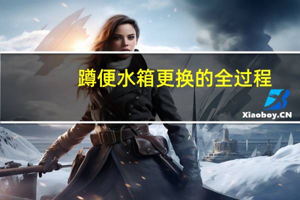 蹲便水箱更换的全过程