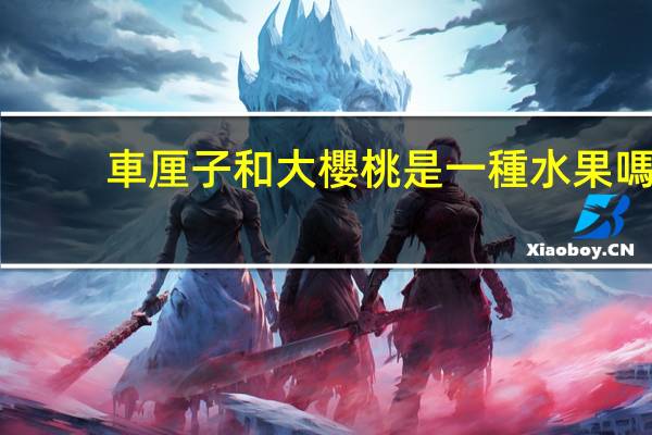 車厘子和大櫻桃是一種水果嗎