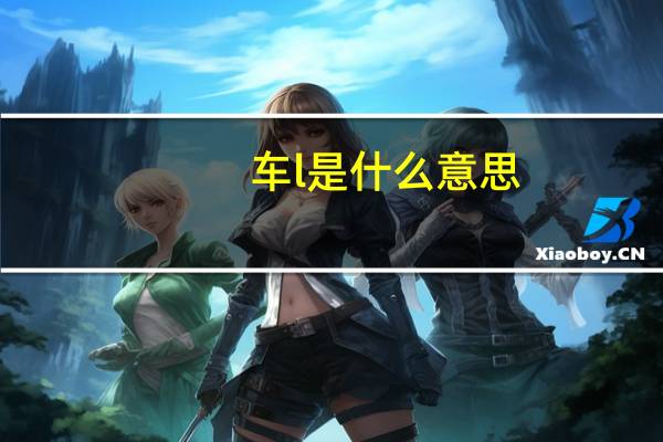 车l是什么意思