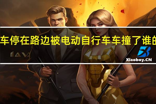车停在路边被电动自行车车撞了谁的责任