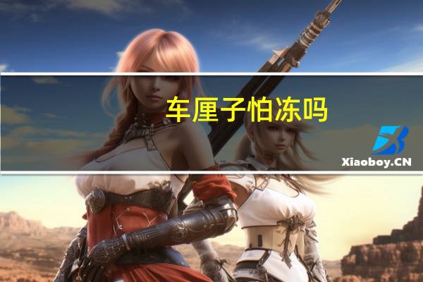 车厘子怕冻吗