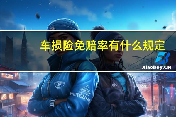 车损险免赔率有什么规定