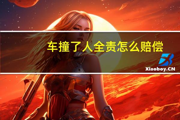 车撞了人全责怎么赔偿