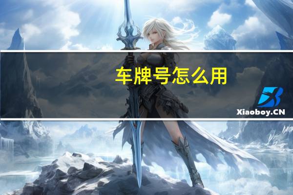 车牌号怎么用