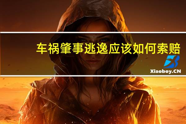 车祸肇事逃逸应该如何索赔