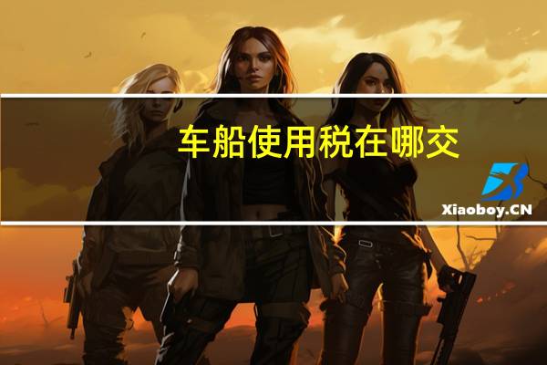 车船使用税在哪交