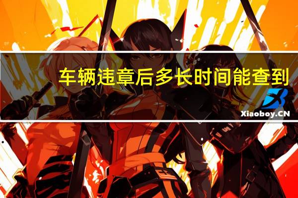 车辆违章后多长时间能查到