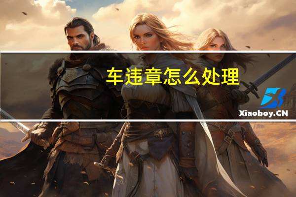 车违章怎么处理