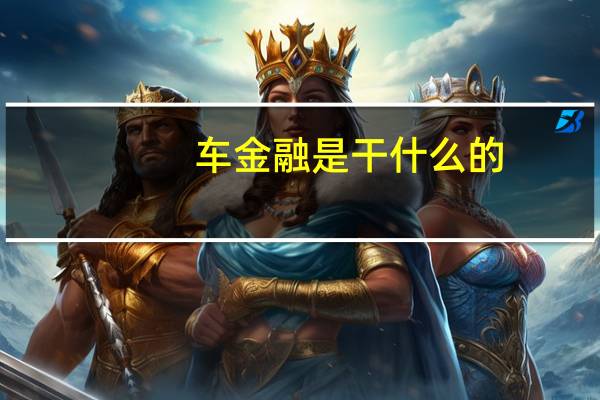 车金融是干什么的