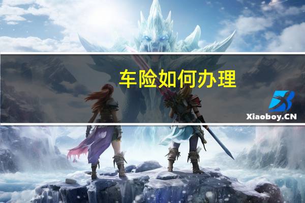 车险如何办理
