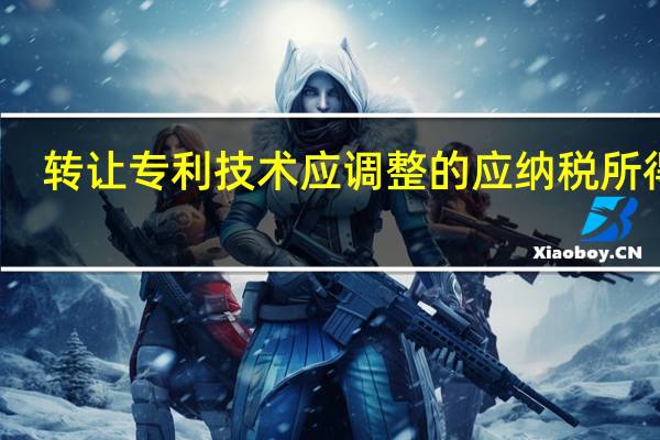 转让专利技术应调整的应纳税所得额
