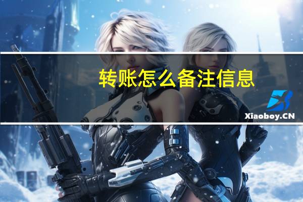转账怎么备注信息