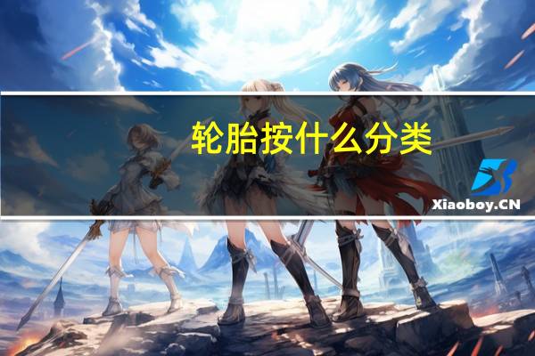 轮胎按什么分类？