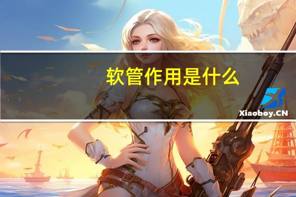 软管作用是什么