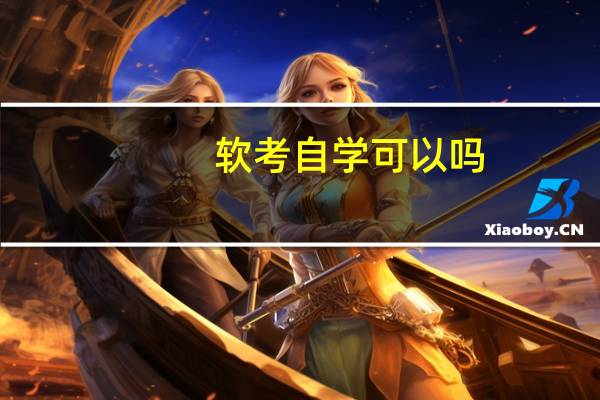 软考自学可以吗