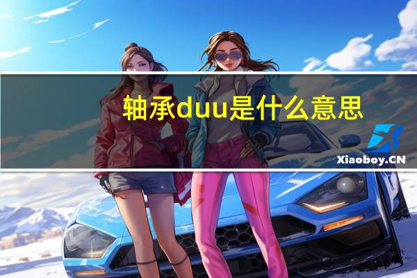 轴承duu是什么意思