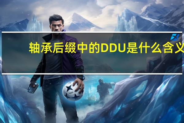 轴承后缀中的DDU是什么含义