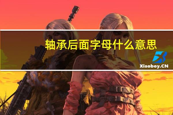 轴承后面字母什么意思
