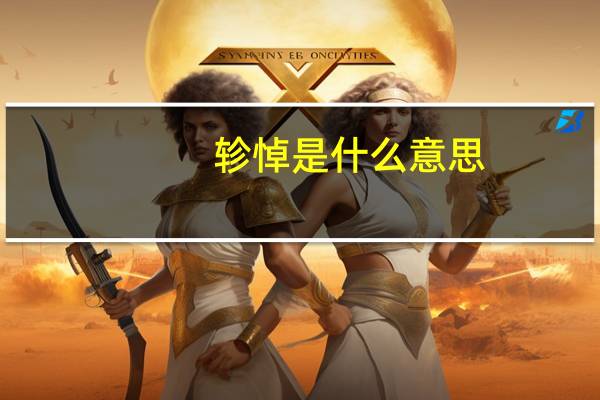 轸悼是什么意思