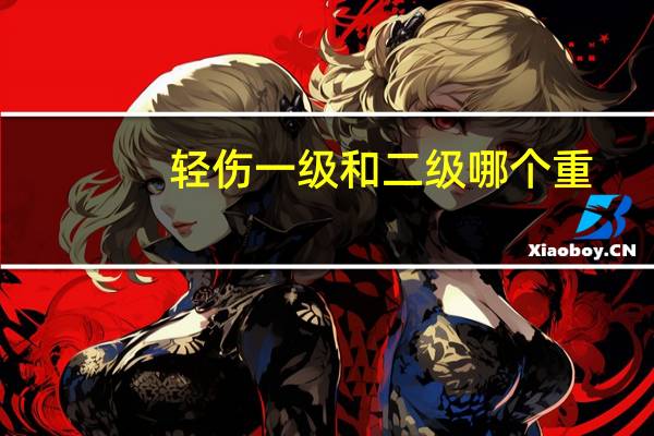轻伤一级和二级哪个重