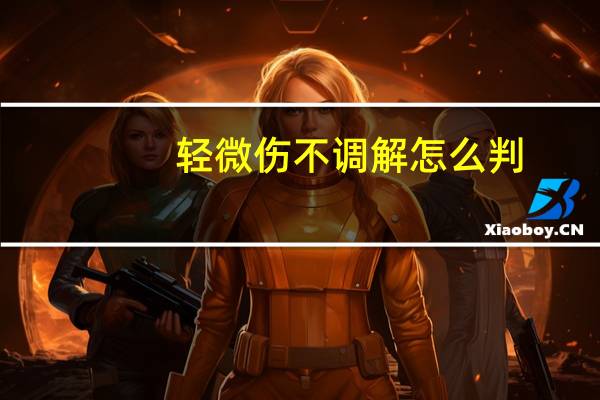 轻微伤不调解怎么判