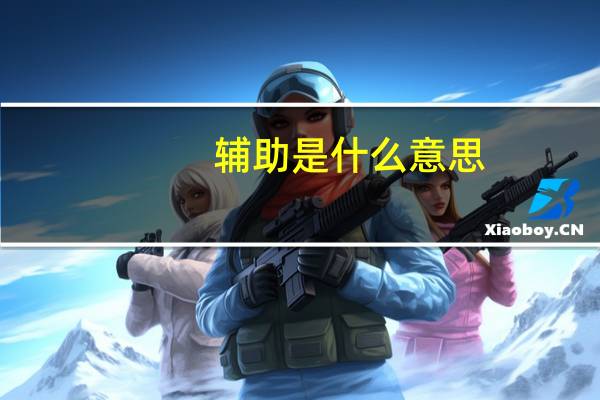 辅助是什么意思