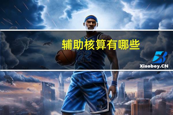 辅助核算有哪些