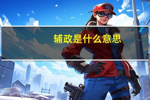 辅政是什么意思