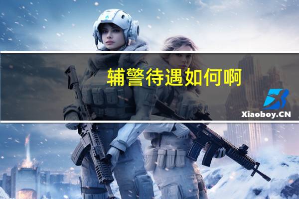 辅警待遇如何啊?