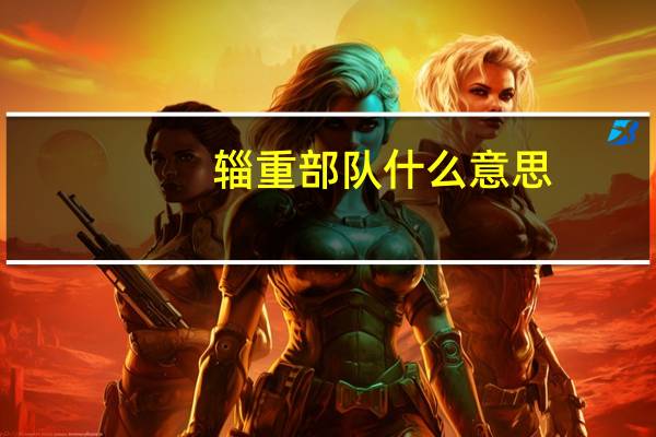 辎重部队什么意思