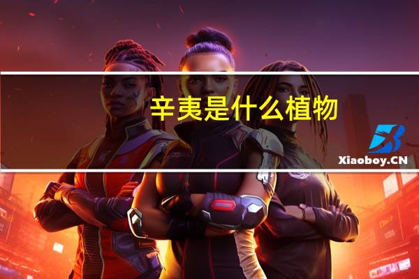 辛夷是什么植物