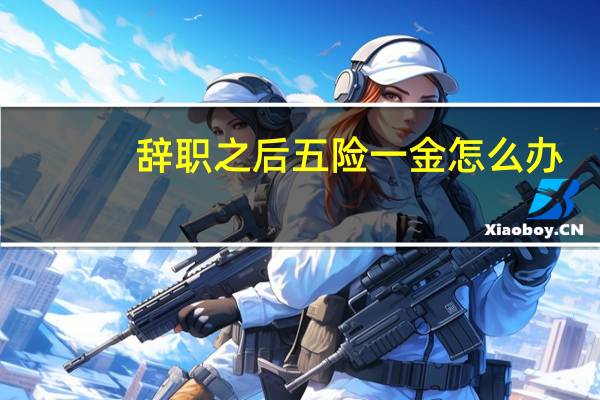 辞职之后五险一金怎么办