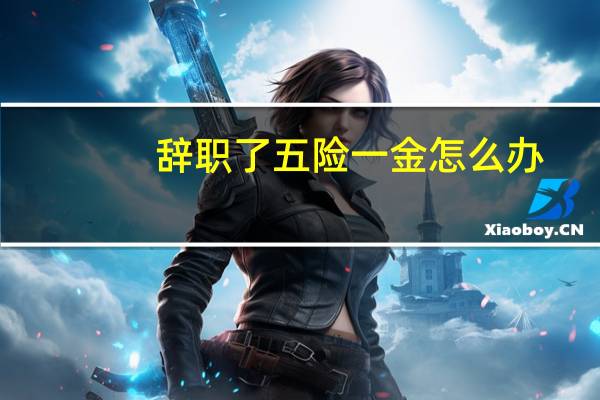 辞职了五险一金怎么办