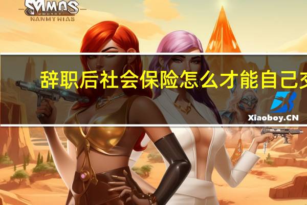 辞职后社会保险怎么才能自己交